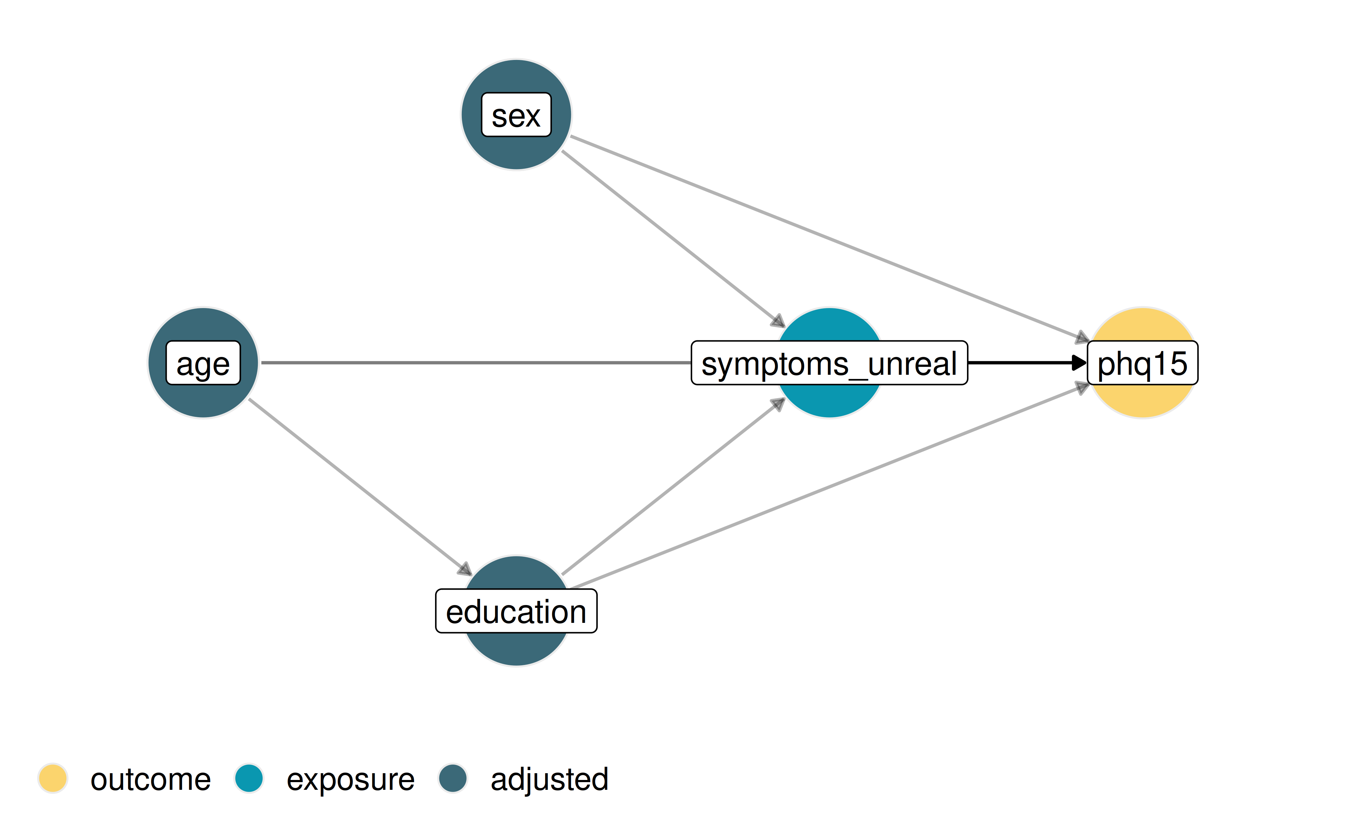 Figure 2: DAG of our theoretical causal assumptions