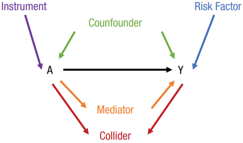 Figure 1: Variable Roles in a Directed Acyclic Graph (DAG)